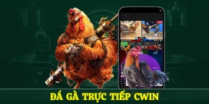 đá gà trực tiếp