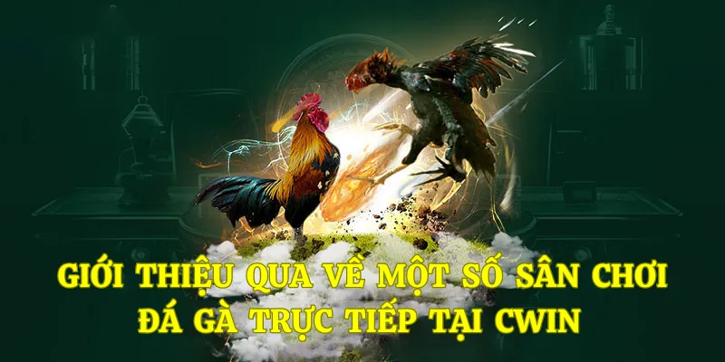 Trải nghiệm vô vàn đấu trường đặc sắc tại Cwin