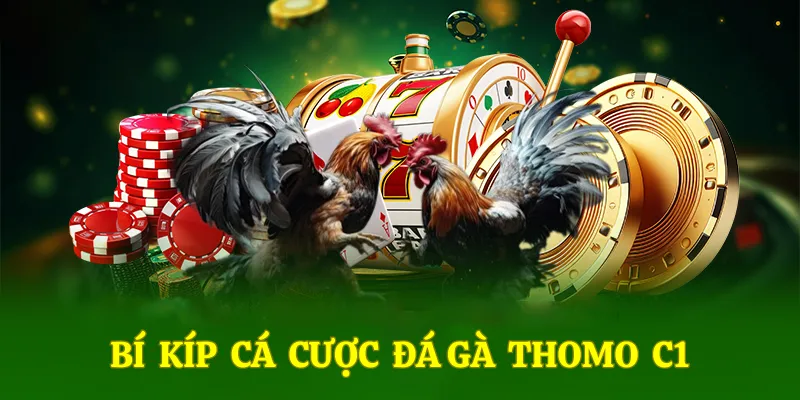 Mẹo cá cược đá gà thomo cực hay